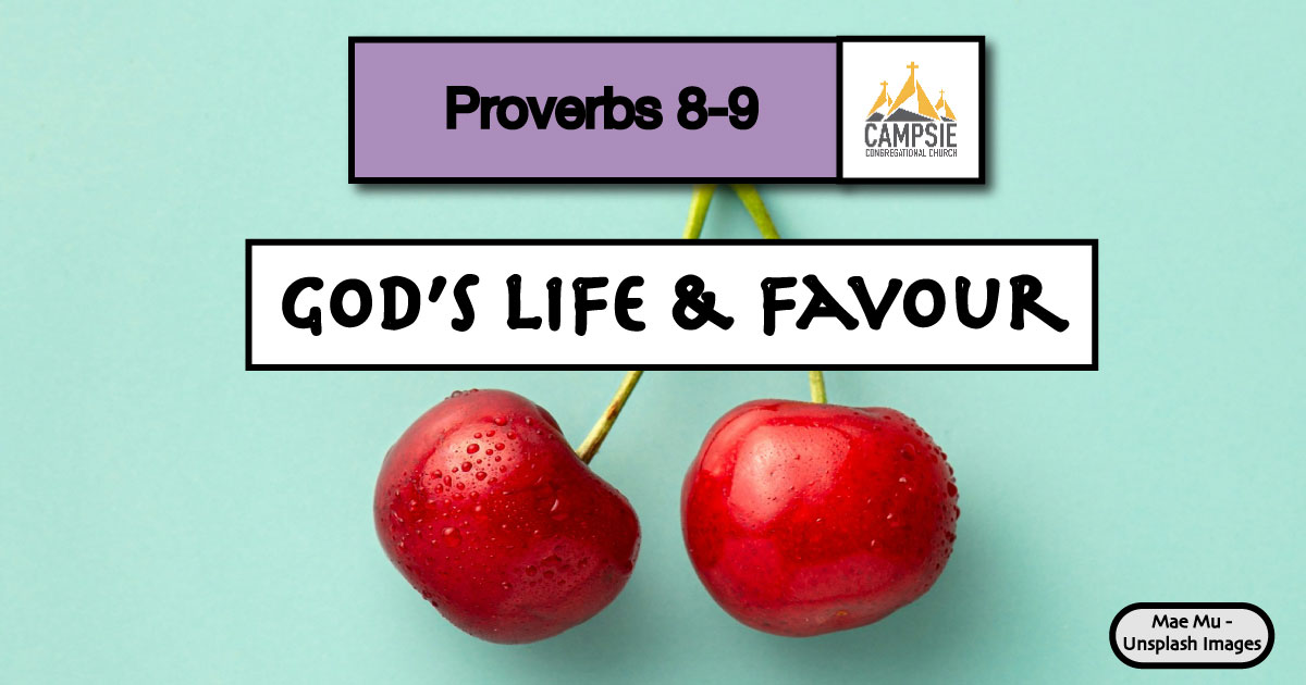 Insight for Living V