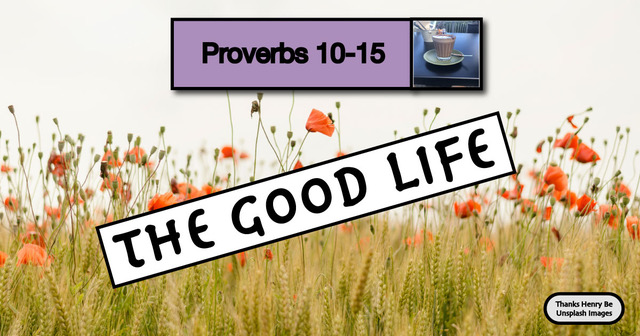 Insight for Living VI
